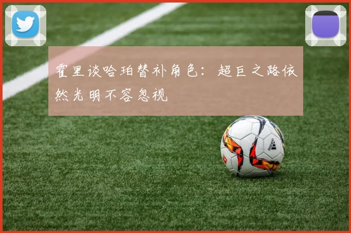 霍里谈哈珀替补角色：超巨之路依然光明不容忽视